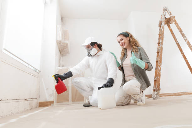 Trusted Central Falls, RI Mold Removal Experts